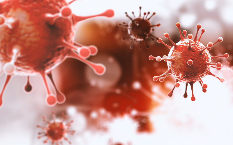 코로나 검사 안내_썸네일형.jpg